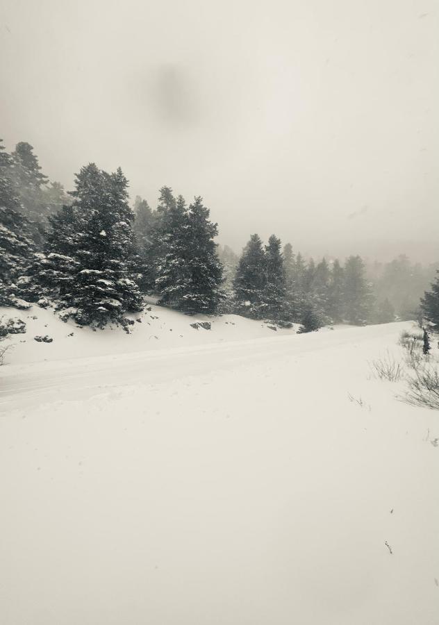 Parnassos Snow Hill Chalet Apart otel Arachova Dış mekan fotoğraf